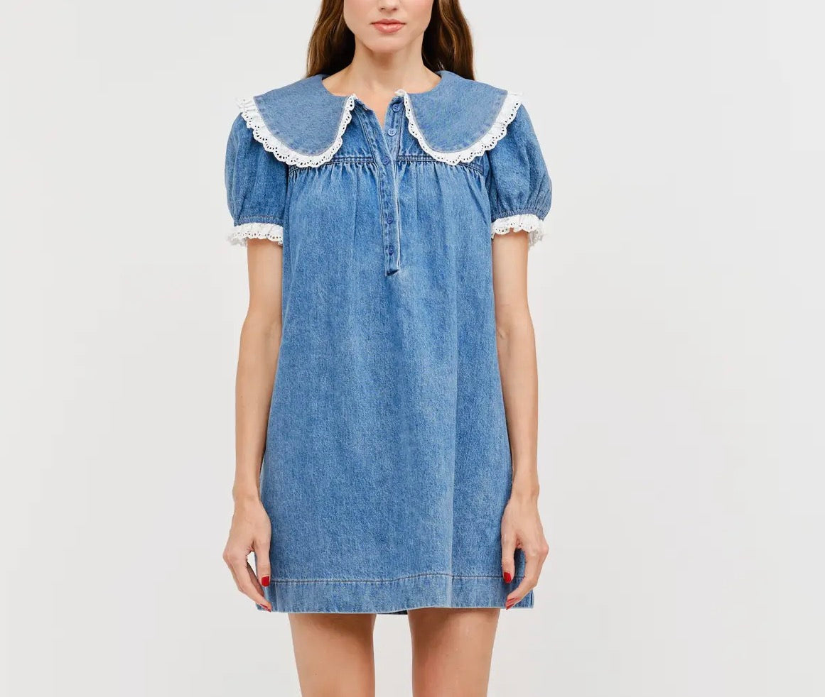 Denim & Lace Darla Mini Dress