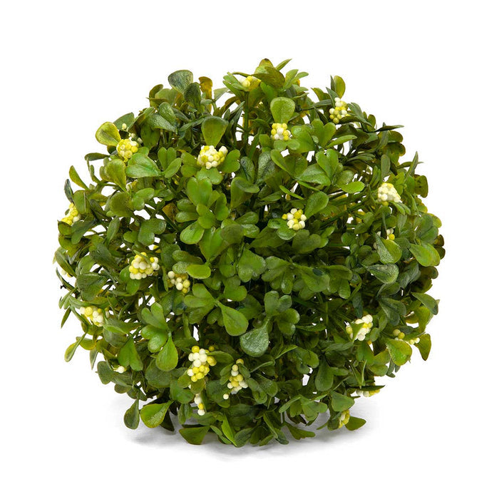 Boxwood Dome