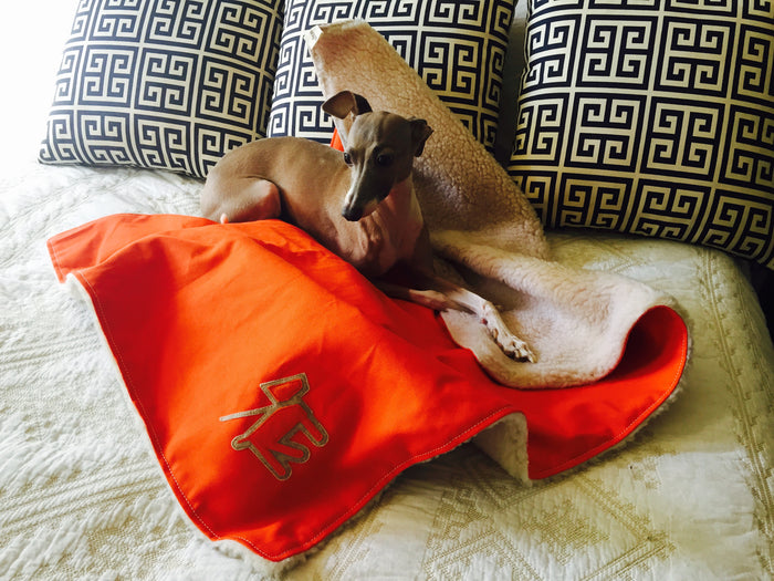 dog model laying on canvas fleece dog blanket in orange