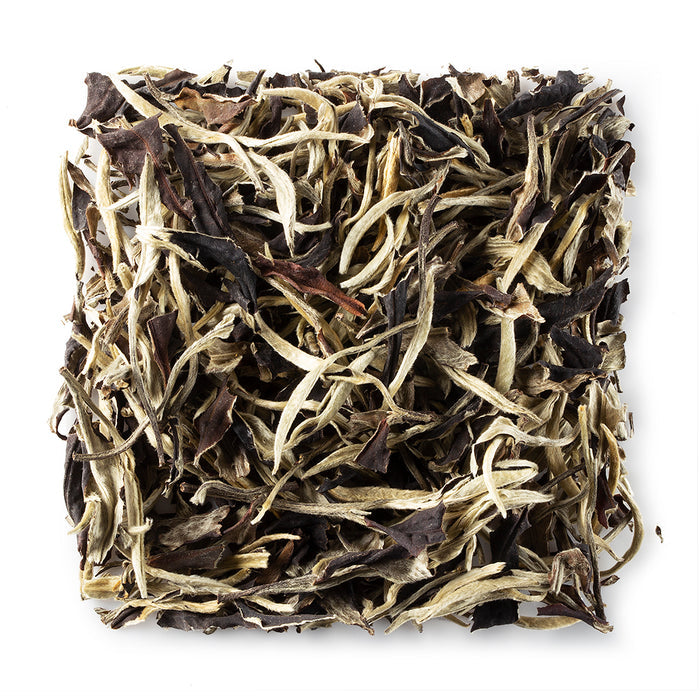 Fujian Organic White Peony Tea (3.2 oz/Tin)