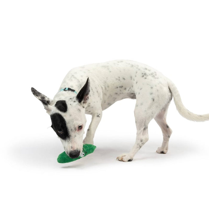 Huxley & Kent Dog Toys Tiny Tuff Green Dell Pickle Plush Squeak Dog Toy