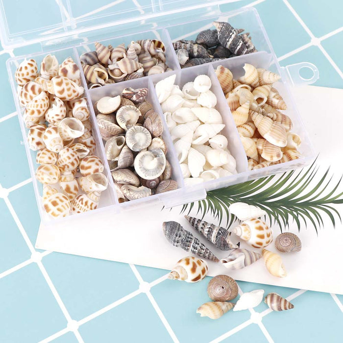 100g Mixed Shell Conch Resin Mold Accessories Decoration