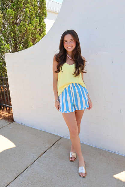 Blue & White Stripe Ruffle Shorts