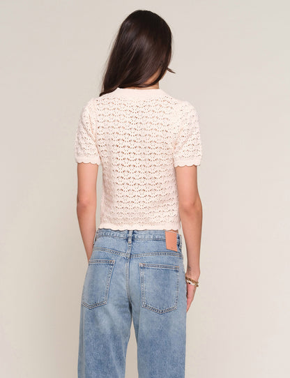 clarina cardi