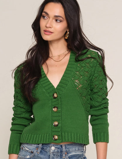 amalda cardi