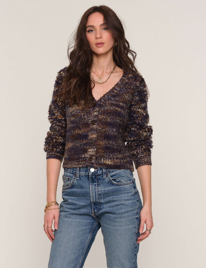 dara cardi