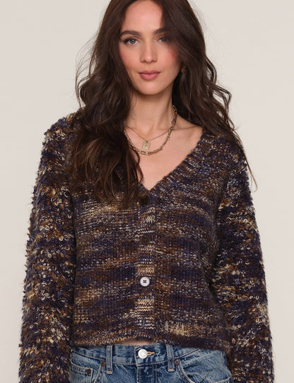 dara cardi