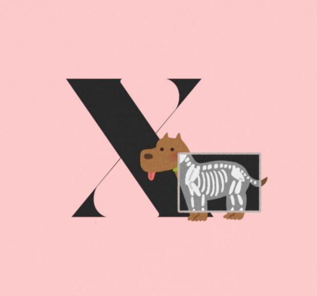 Alphabet Adventures: Letter X - X-ray Dog Toddler T-shirt - Whippie's