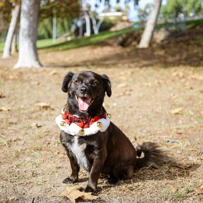 Huxley & Kent Collars Buffalo Check Holiday Red Ruff with Jingle Bells for Pets