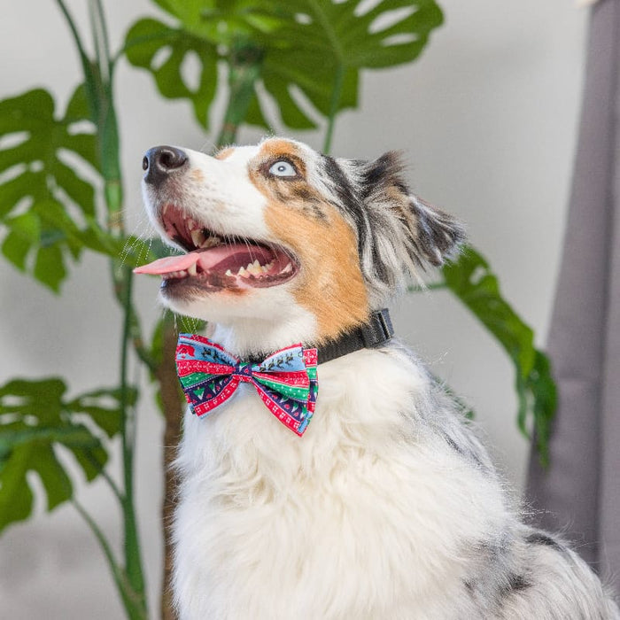 Huxley & Kent Bow Ties Christmas Holiday Ugly Sweater Bow Tie Pet Collar Attachment - 2 Sizes