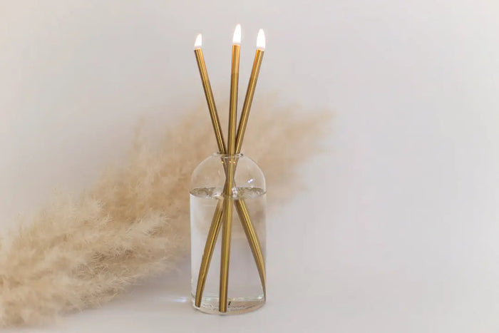 Everlasting Candle Sticks Acorn Home + Apparel