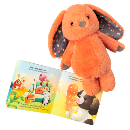 Plush bunny and board book.
