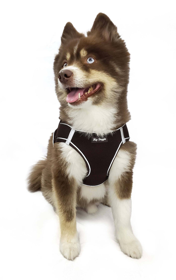 Barker's Bowtique Barker's Bowtique - Hip Doggie -  EZ Step-In Harness Vest - Brown: XXS