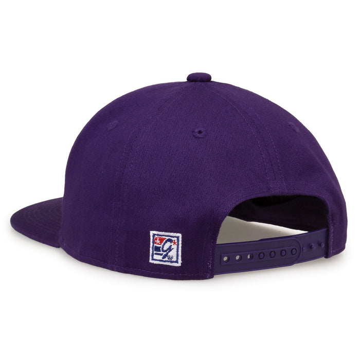 James Madison Dukes Retro Circle Snapback - Purple, rear view