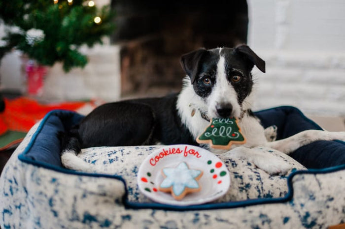 Play Pet Brands dog toys Merry Woofmas Christmas Eve Cookies Plush Squeaky Holiday Dog Toy Set - 3 Pc