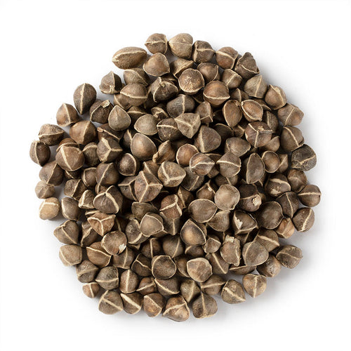 Moringa Oleifera Seed / La Mu Zi