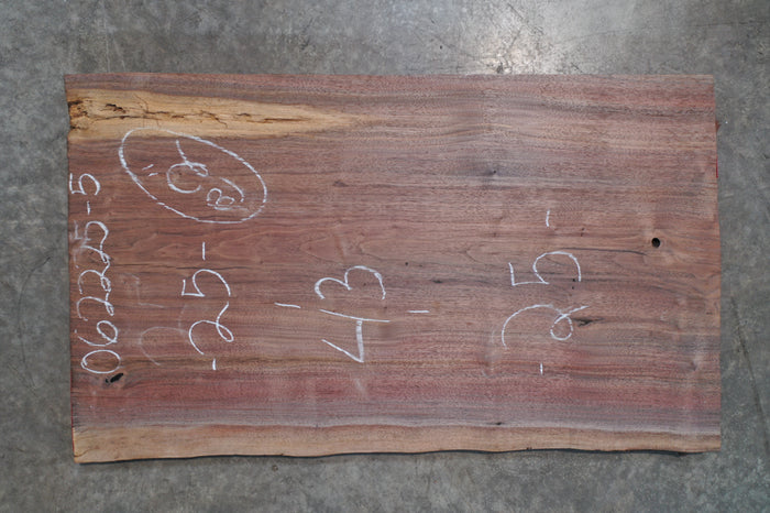 Oregon Black Walnut Slab 062225-5