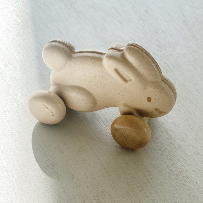 PUSH ALONG - BUNNY