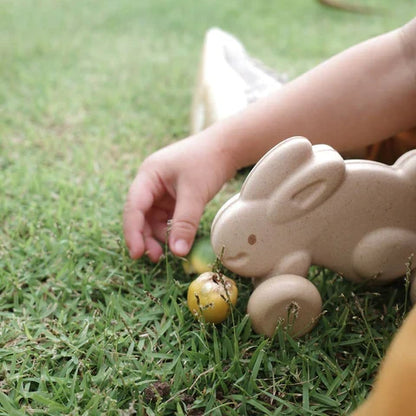 PUSH ALONG - BUNNY