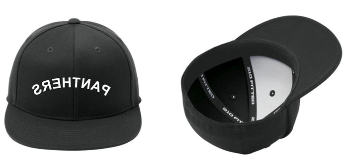 Reverse PANTHERS Flexfit 210 Flat Bill Cap