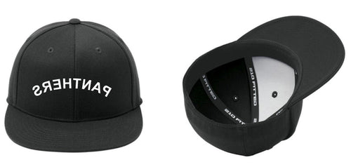 Reverse PANTHERS Flexfit 210 Flat Bill Cap
