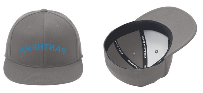Reverse PANTHERS Flexfit 210 Flat Bill Cap
