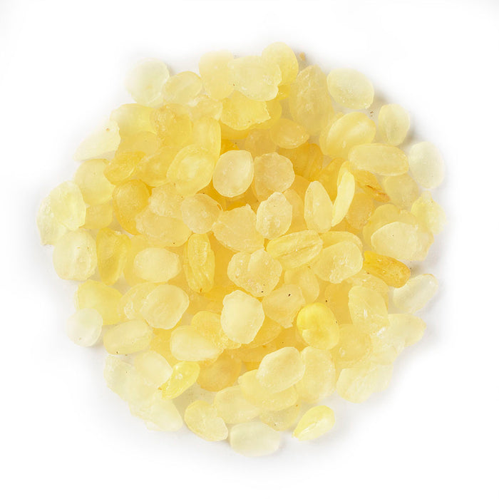 Snow Lotus Seed / Xue Lian Zi 16oz