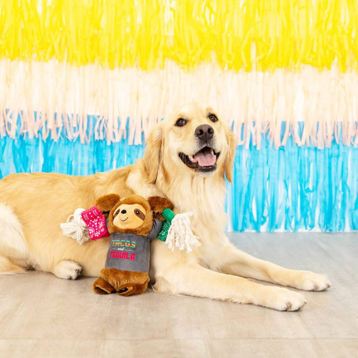 Petshop by Fringe Studio dog toys Tacos & Tequila Fiesta Sloth Plush Squeaky Rope Dog Toy