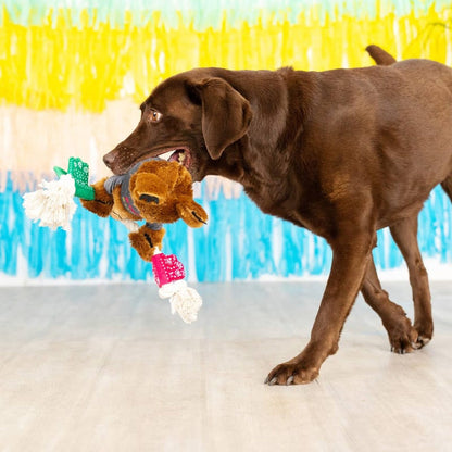 Petshop by Fringe Studio dog toys Tacos & Tequila Fiesta Sloth Plush Squeaky Rope Dog Toy