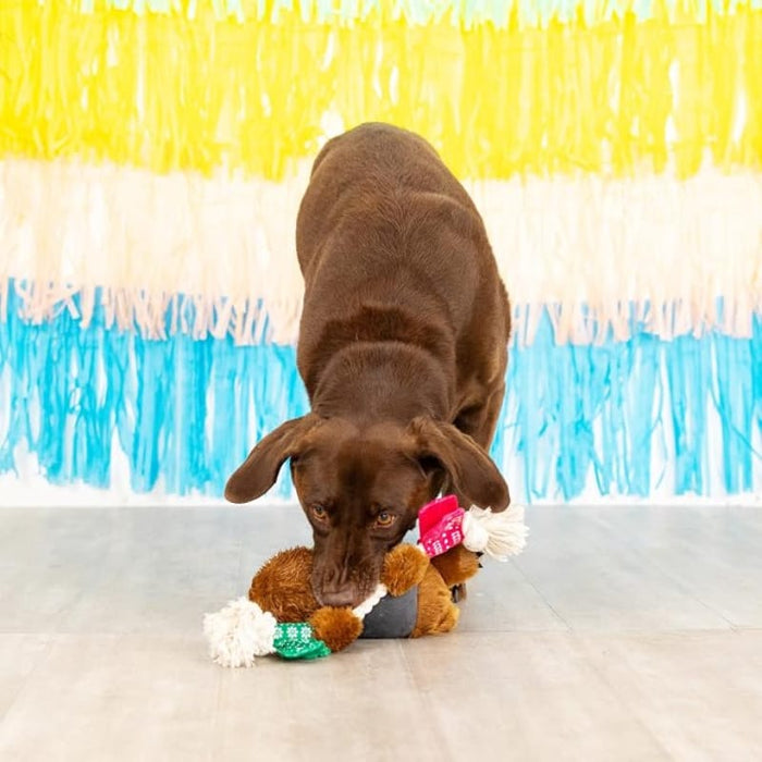 Petshop by Fringe Studio dog toys Tacos & Tequila Fiesta Sloth Plush Squeaky Rope Dog Toy
