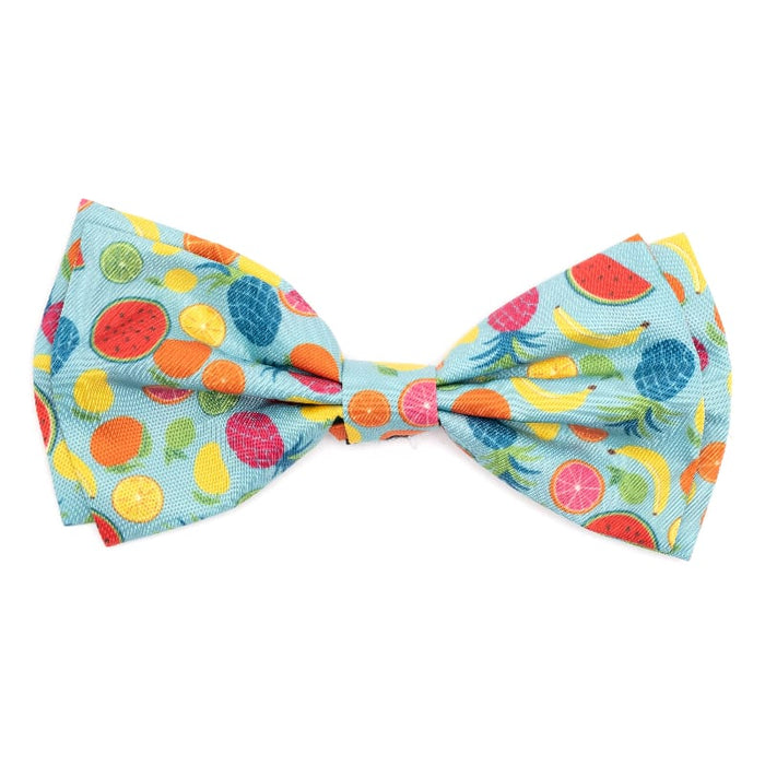 The Worthy Dog Bow Ties SM Tutti Frutti Light Blue Bow Tie Pet Collar Attachment - 2 Sizes