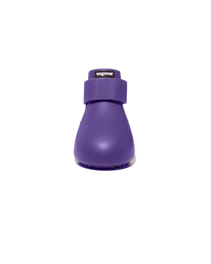 Purple / XXXS