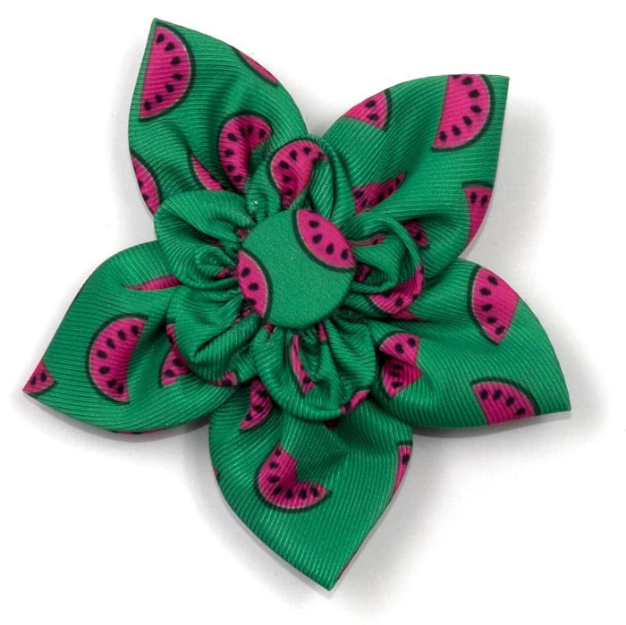 The Worthy Dog Bow Ties SM Watermelon Green Flower Pet Collar Attachment - 2 Sizes