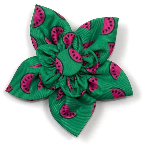 The Worthy Dog Bow Ties SM Watermelon Green Flower Pet Collar Attachment - 2 Sizes
