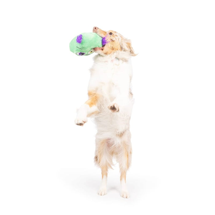 Huxley & Kent Dog Toys Zombie Pop 'n Fetch Pop-Eye Spooky Halloween Plush Squeaky Dog Toy